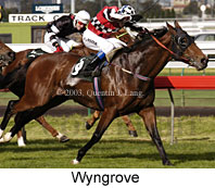 Wyngrove (16461 bytes)