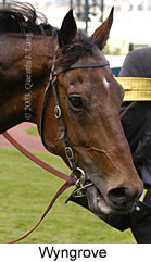 Wyngrove (12622 bytes)