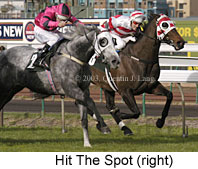 Hit The Spot (15722 bytes)