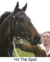 Hit The Spot (10344 bytes)