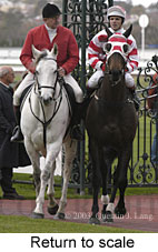 Return to scale (14425 bytes)