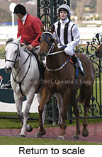 Return to scale (14889 bytes)