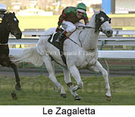 Le Zagaletta (12815 bytes)