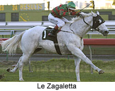 Le Zagaletta (15213 bytes)