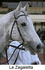 Le Zagaletta (12069 bytes)