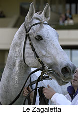 Le Zagaletta (11991 bytes)