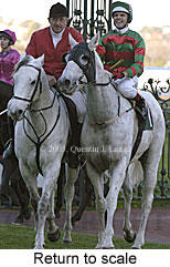 Return to scale (17769 bytes)