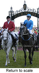 Return to scale (15457 bytes)