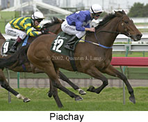 r3piachay.jpg (14748 bytes)