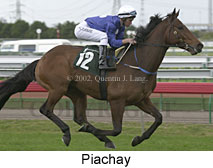 r3piachay2.jpg (12023 bytes)