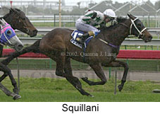 r4squillani.jpg (13591 bytes)