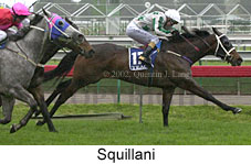 r4squillani2.jpg (13975 bytes)