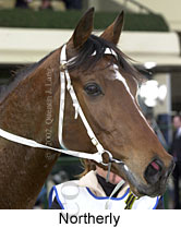 r6northerly3.jpg (12093 bytes)