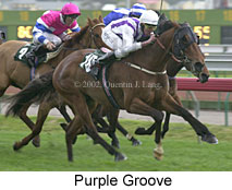 r7purplegroove.jpg (15171 bytes)