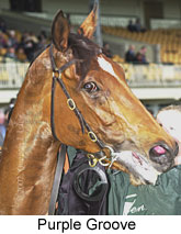 r7purplegroove3.jpg (14158 bytes)