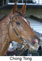 r8chongtong2.jpg (10990 bytes)