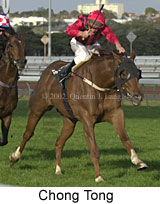 r8chongtong3.jpg (12827 bytes)