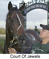 r9courtofjewels3.jpg (10987 bytes)
