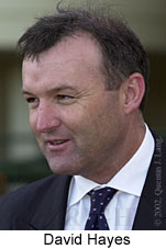 r9davidhayes.jpg (8991 bytes)