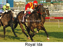 Royal Ida (17710 bytes)