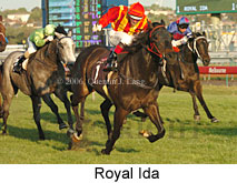 Royal Ida (17710 bytes)