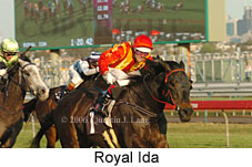 Royal Ida (17710 bytes)