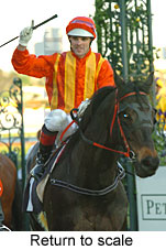 Return to scale (16571 bytes)