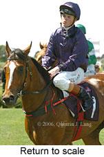 Return to scale (16571 bytes)