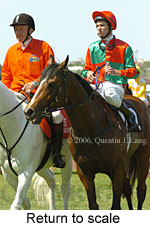 Return to scale (16571 bytes)