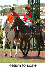 Return to scale (16571 bytes)