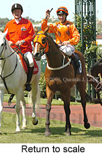 Return to scale (16571 bytes)