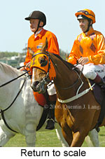 Return to scale (16571 bytes)