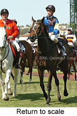 Return to scale (16571 bytes)