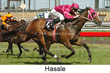 Hassle (17710 bytes)