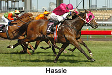 Hassle (17710 bytes)