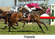 Hassle (17710 bytes)