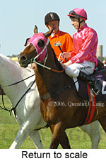 Return to scale (16571 bytes)