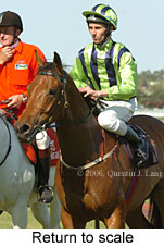 Return to scale (16571 bytes)