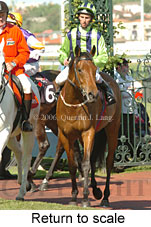 Return to scale (16571 bytes)