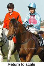 Return to scale (16571 bytes)