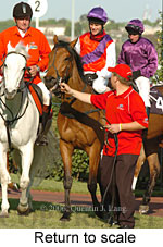 Return to scale (16571 bytes)