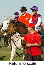 Return to scale (16571 bytes)