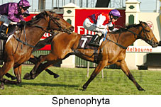 Sphenophyta (17710 bytes)