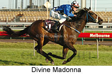 Divine Madonna (18229 bytes)