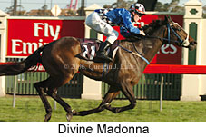 Divine Madonna (17710 bytes)