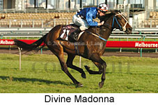 Divine Madonna (17710 bytes)