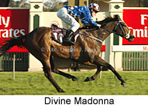 Divine Madonna (17710 bytes)