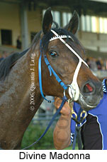 Divine Madonna (17710 bytes)