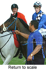 Return to scale (16571 bytes)