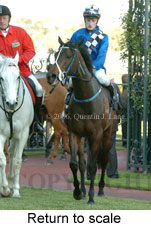 Return to scale (16571 bytes)